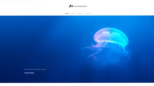 上海网站开发、医药网站开发